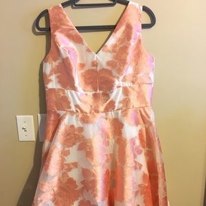 NEW Nicole Miller Dress